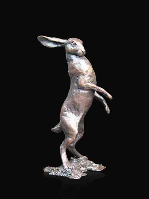 Hare Standing