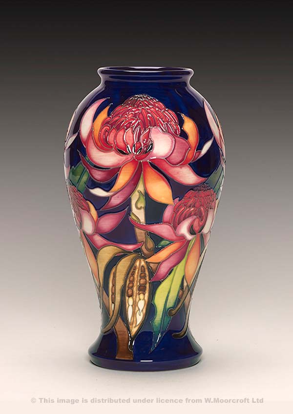 New World Waratah