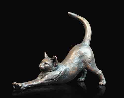 Cat Stretching
