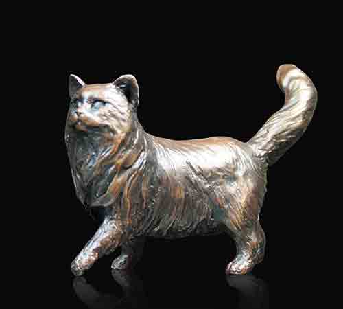 Long Haired Cat