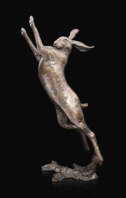 Hare Boxing
