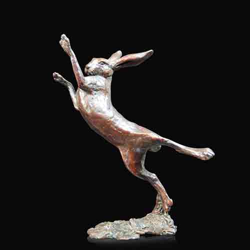 Hare Boxing