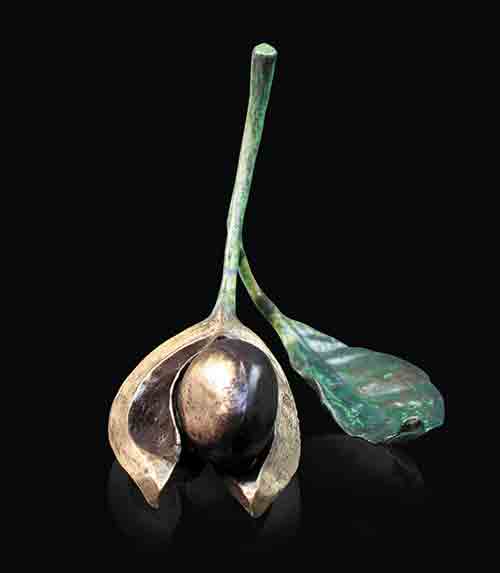 Conker with Leaf