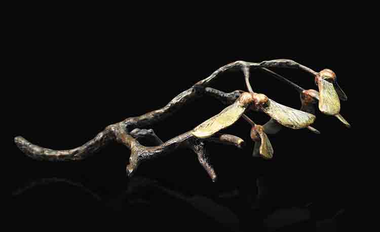 Sycamore