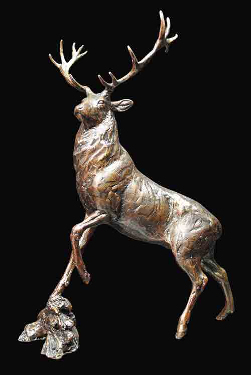 Highland Stag
