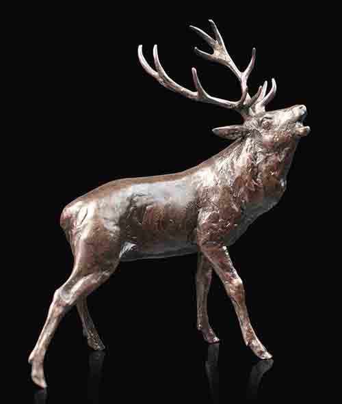 Stag Roaring